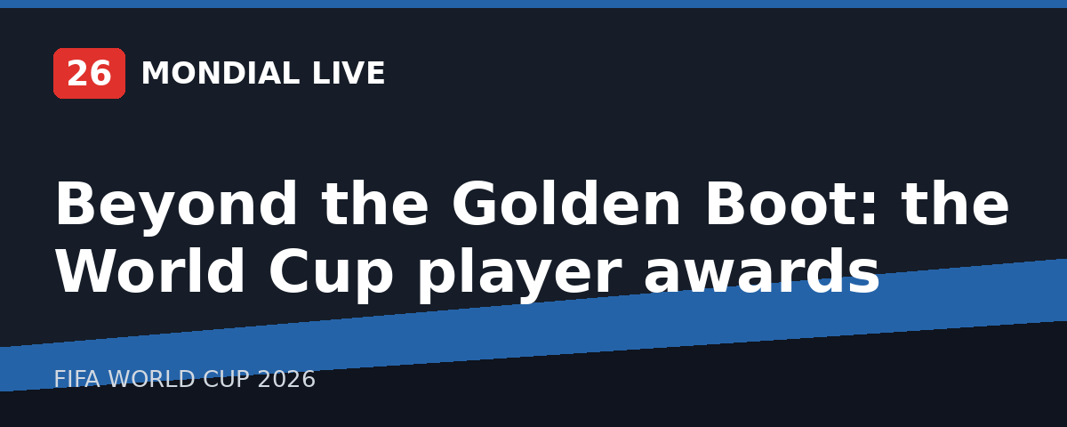 Beyond the Golden Boot: the World Cup player awards
